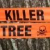 @Killer_Tree@beehaw.org avatar