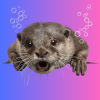 otters@lemmy.world icon