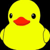 @Quackdoc@lemmy.world avatar