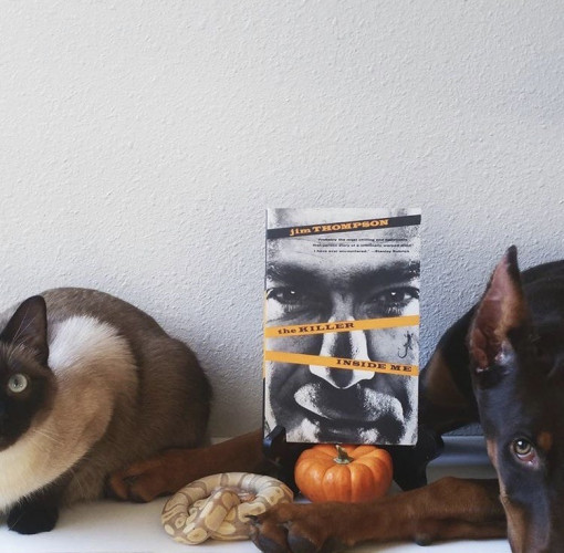 Brontë (cat), Lars (snake), & Aggie (dog) pose with a mini pumpkin and a copy of the book, The Killer Inside Me.