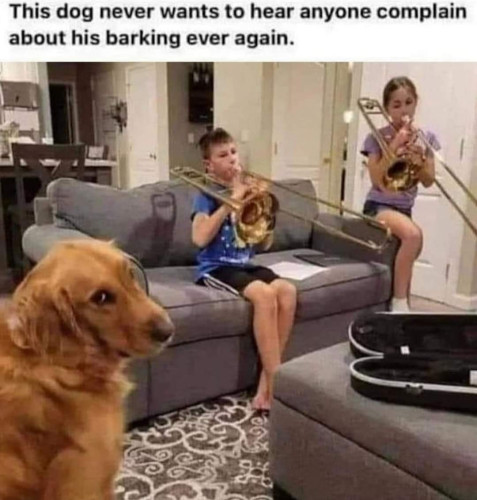 A picture of a dog and two kids playing the trombone with the text This dog never wants to hear anyone complain about his barking ever again