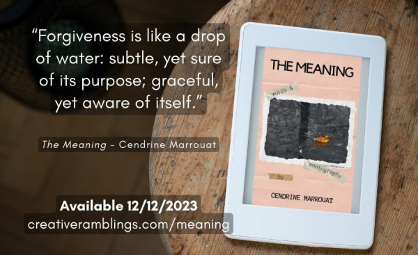 Promotional banner for Cendrine Marrouat's new book: The Meaning. An extract is included and reads: "When I look at hands, I see stories. Not just the obvious ones—age, family heritage, environment. There are many wordless journeys  in the path between knuckles and  phalanges." Available on December 12, 2023
