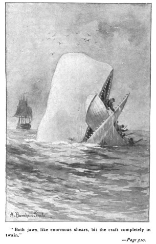 Moby Dick attacking a whaling boat. The whale’s head is out of the water, mouth open, with sharp teeth, biting down on the boat. By Augustus Burnham Shute - Moby-Dick edition - C. H. Simonds Co, Public Domain, https://commons.wikimedia.org/w/index.php?curid=10895971