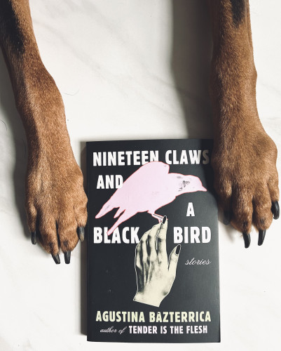 Aggie’s (dog) 2 front legs, with the book, Nineteen Claws and A Black Bird by Agustina Bazterrica lying between.