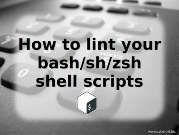 ShellCheck finds bugs in your shell scripts.