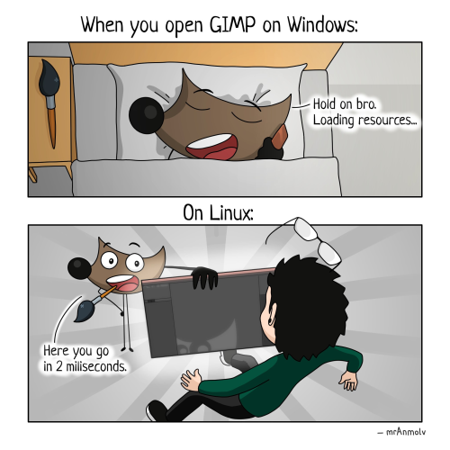 In this meme, the comic author expresses frustration with the slow loading of GIMP on Windows compared to Linux.

Comic top panel:
When you open GIMP on Windows:

GIMP logo: Hold on bro. Loading resources ....

Comic bottom panel:
On Linux:
Gimp logo: Here you go in 2 milliseconds.