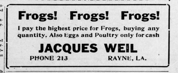 Text newspaper ad: 

Frogs!  Frogs!  Frogs! 
I pay the highest price for Frogs, buying any quantity, Also Eggs and Poultry only for cash

JACQUES WEIL 
PHONE 213  RAYNE, LA.