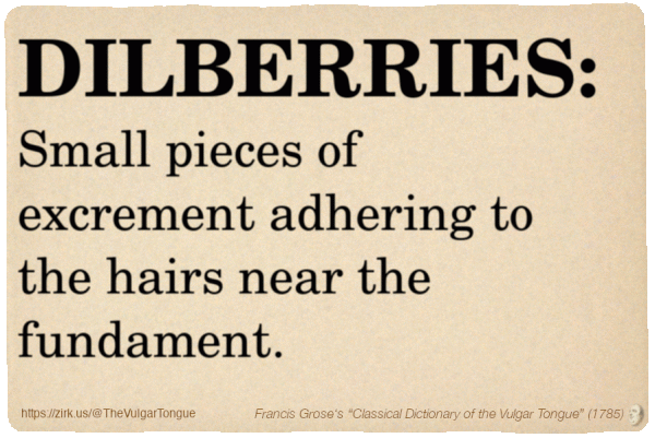 Image imitating a page from an old document, text (as in main toot):

DILBERRIES. Small pieces of excrement adhering to the hairs near the fundament.

A selection from Francis Grose’s “Dictionary Of The Vulgar Tongue” (1785)