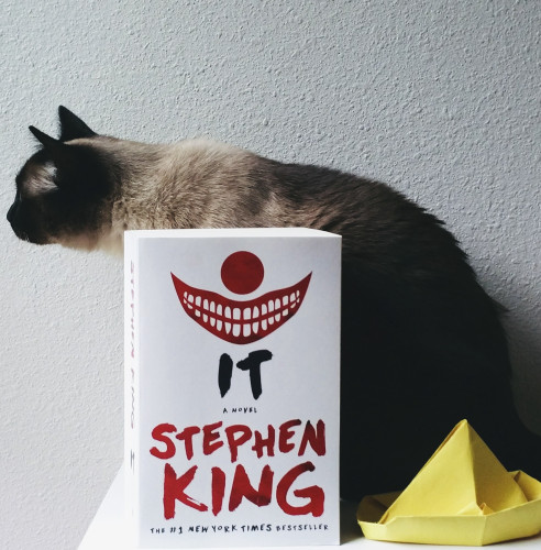 Brontë is (cat) staring away from the camera, the book, It by Stephen King and a yellow paper boat are in front of her.