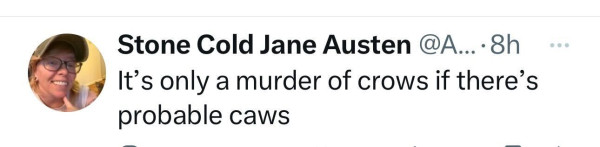 Screenshot of a social post by Stone Cold Jane Austen ('@AbbyHiggs' on the social platform 'X'). The post says: 'It’s only a murder of crows if there’s probable caws'