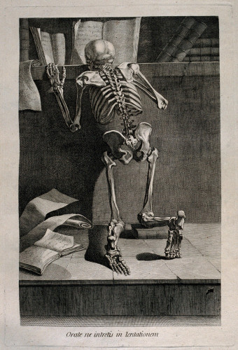 A kneeling skeleton, seen from behind, reading a book on a shelf. 

Etching by or after J. Gamelin, 1778/1779. Wellcome Collection https://wellcomecollection.org/works/zern7znb 