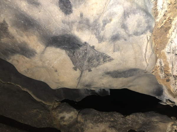 Photo of Puerto Rican cave art image of a sting ray. Credit: A. Acosta-Colon.