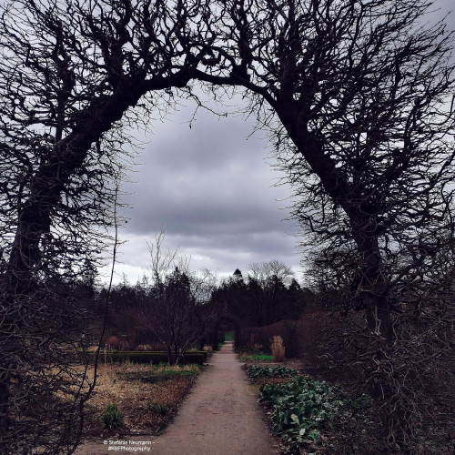 View through a hedge archway along a sandy path under a threatening, cloudy sky.